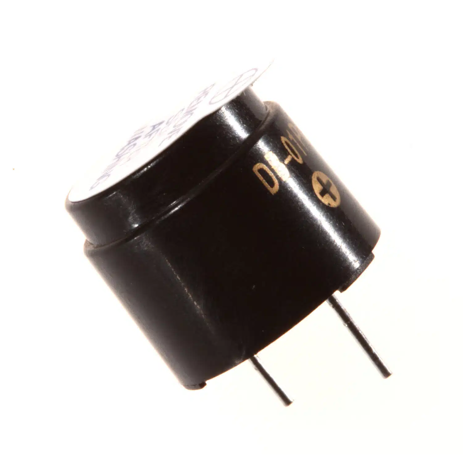 Magnetic Transducer Magnetischer Schallwandler SGDB