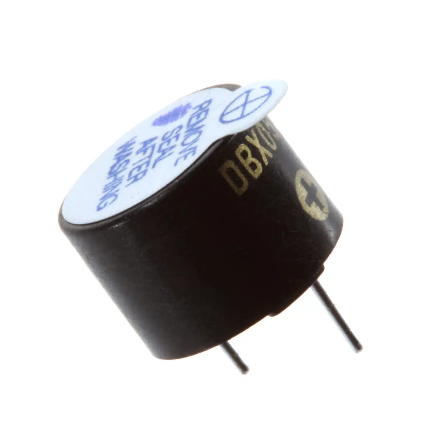 Magnetic Transducer Magnetischer Schallwandler SGDB